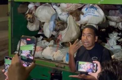 Polisi Berhasil Hentikan Penyelundupan 226 Anjing di Kalikangkung yang Akan Dikirim ke Solo