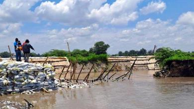 Tujuh Kecamatan di Mojokerto Disapu Banjir, Ratusan Hektar Tanaman Padi Gagal Panen
