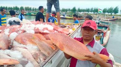 Konsumsi Ikan di Kabupaten Lamongan Tahun 2023 Meningkat
