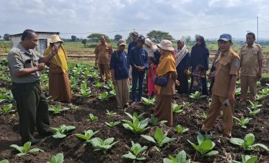 Rubah Mindset Petani Tembakau Lebih Mandiri
