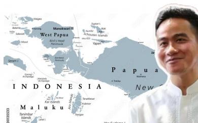 Ditugaskan Presiden RI Prabowo Subianto, Wapres Gibran Nyatakan Siap