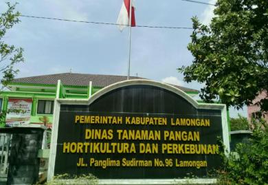 Antisipasi Harga Gabah Anjlok, Begini Upaya Dinas TPHP 