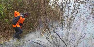 Ini Penyebab Terbakarnya 18Ha Tahura R Soerjo Mojokerto